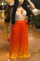 Ombré Pleated Pants