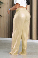 Glitter Pleated High Waist Pants