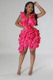Luxe Ruffle Dress