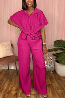 Pleated 2 pc Pants Set