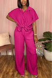 Pleated 2 pc Pants Set