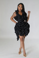 Luxe Ruffle Dress