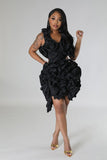 Luxe Ruffle Dress