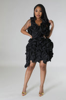 Luxe Ruffle Dress