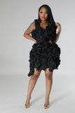 Luxe Ruffle Dress