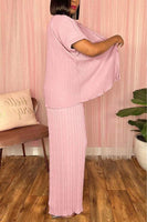 Pleated 2 pc Pants Set
