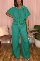 Pleated 2 pc Pants Set