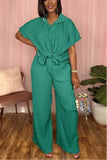 Pleated 2 pc Pants Set