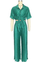 Pleated 2 pc Pants Set