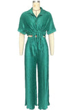 Pleated 2 pc Pants Set